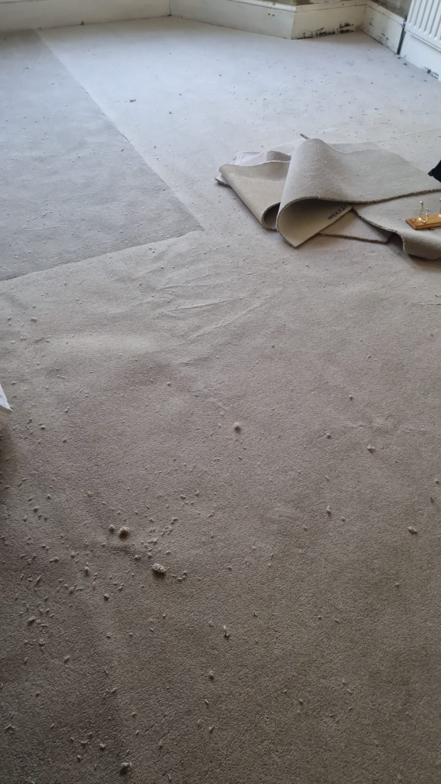Carpet lift & clear-out